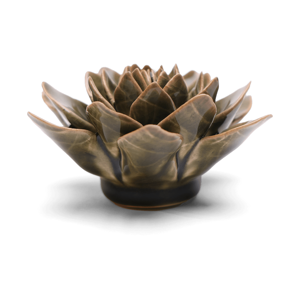 English Garden Ceramic Flower Dark Green Echiveria - Chive US Wholesale