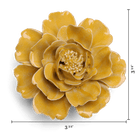 June Birth Flower - Rose - Chive US Wholesale