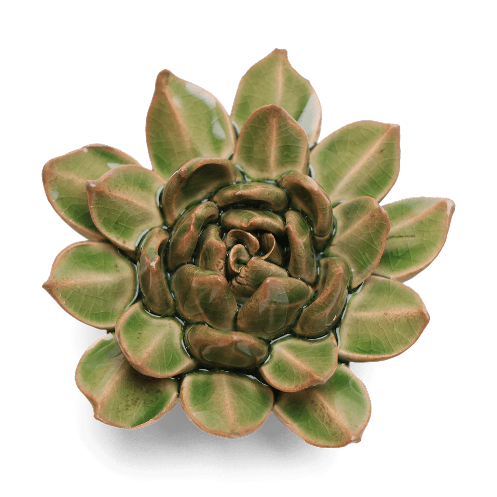 English Garden Ceramic Flower Green Small Succulent - Chive US Wholesale