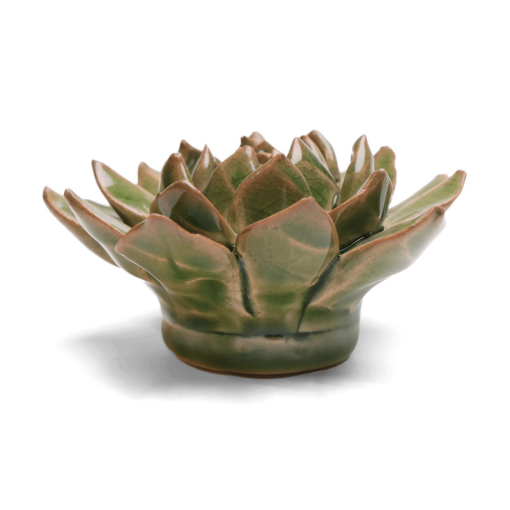 English Garden Ceramic Flower Green Small Succulent - Chive US Wholesale