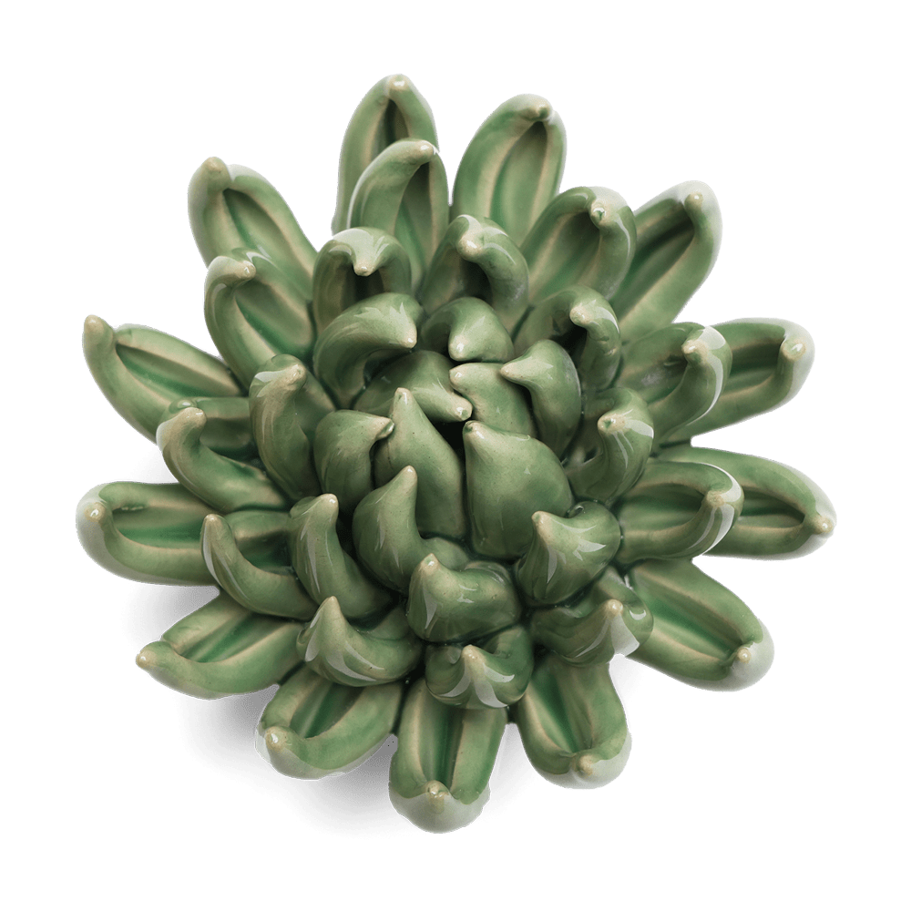 English Garden Ceramic Flower Green Large Succulent - Chive US Wholesale