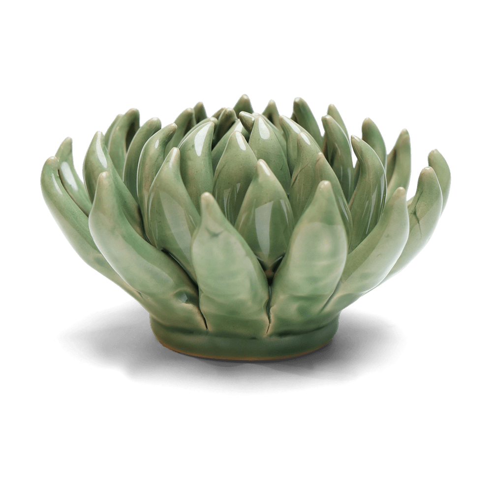 English Garden Ceramic Flower Green Large Succulent - Chive US Wholesale