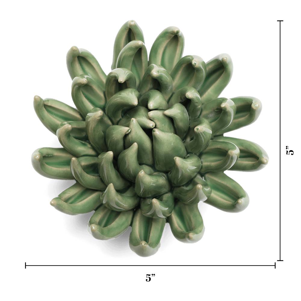 English Garden Ceramic Flower Green Large Succulent - Chive US Wholesale