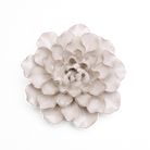 EG15 Ivory European Water Lily - Chive US Wholesale