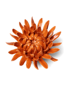 EG35 Orange Sarah Mum - Chive US Wholesale