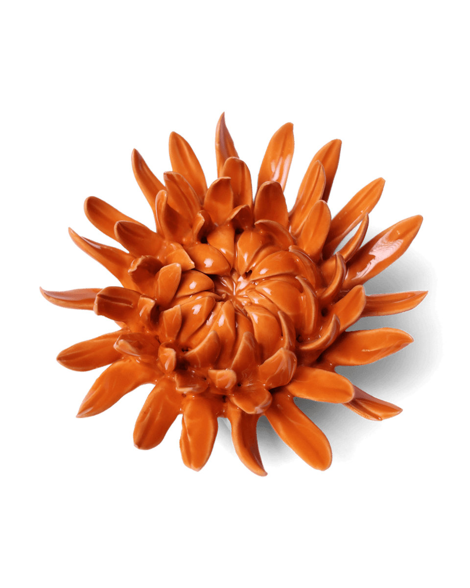 EG35 Orange Sarah Mum - Chive US Wholesale
