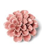 EG36 Champagne Pink Hydrangea - Chive US Wholesale