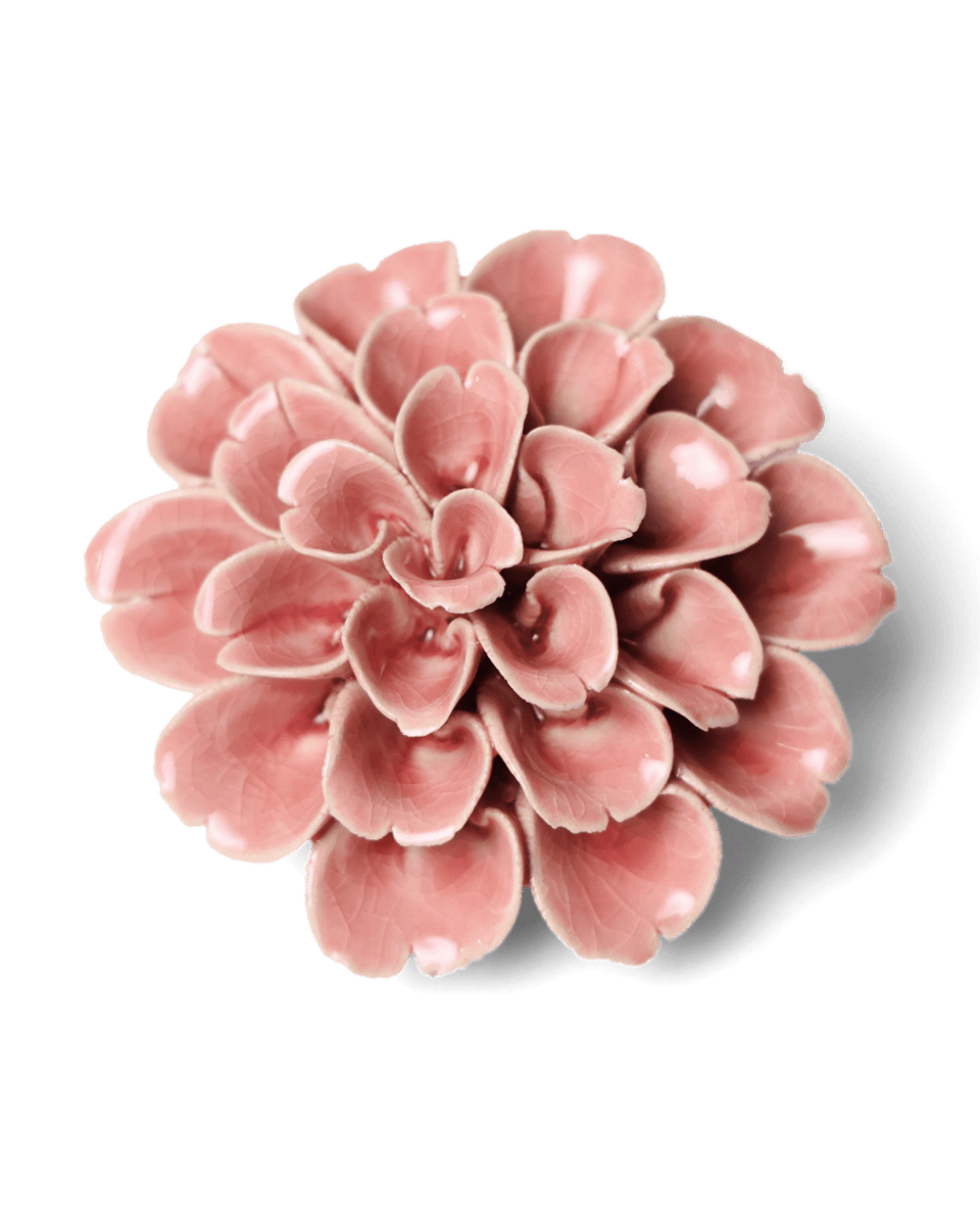 EG36 Champagne Pink Hydrangea - Chive US Wholesale