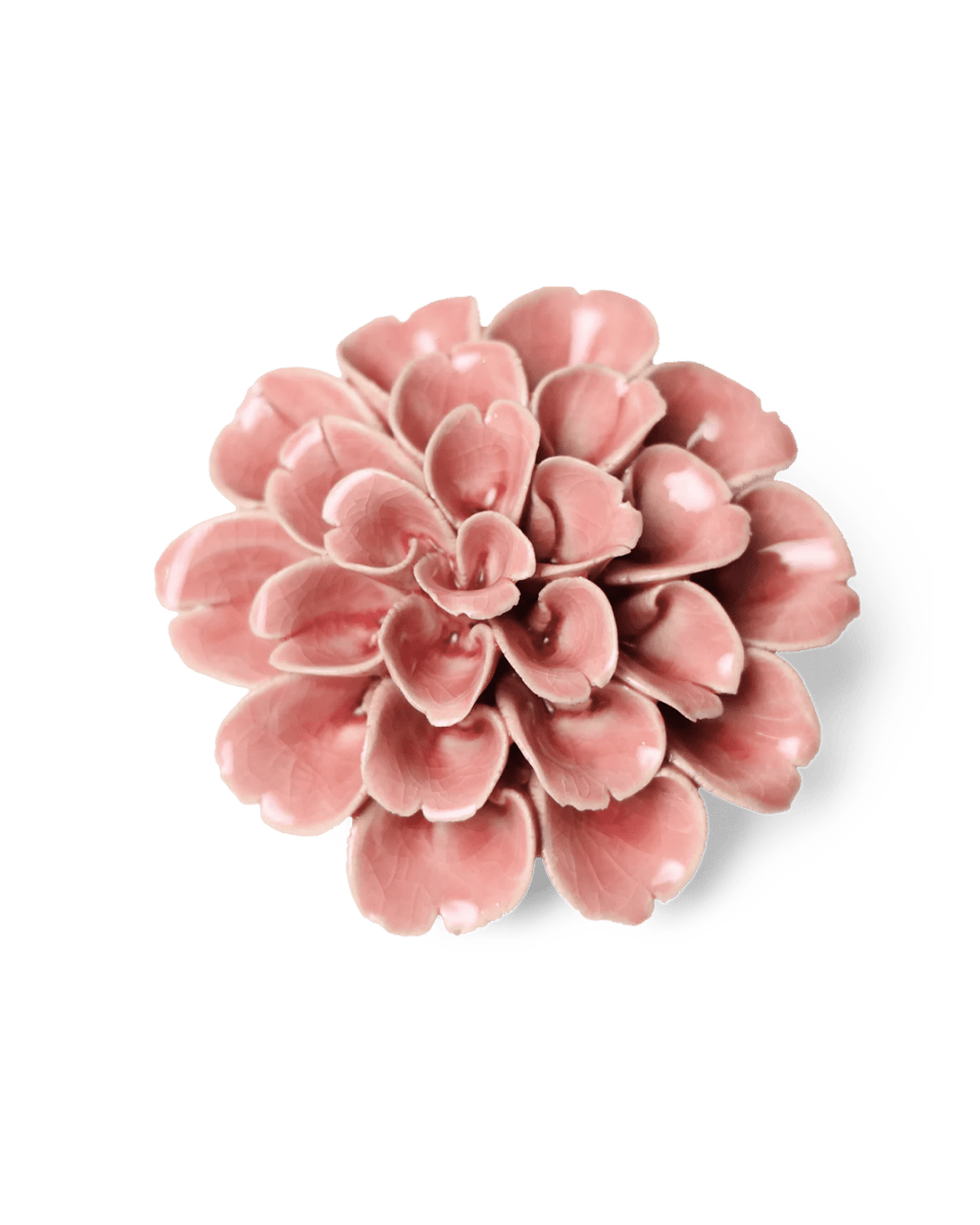 EG36 Champagne Pink Hydrangea - Chive US Wholesale