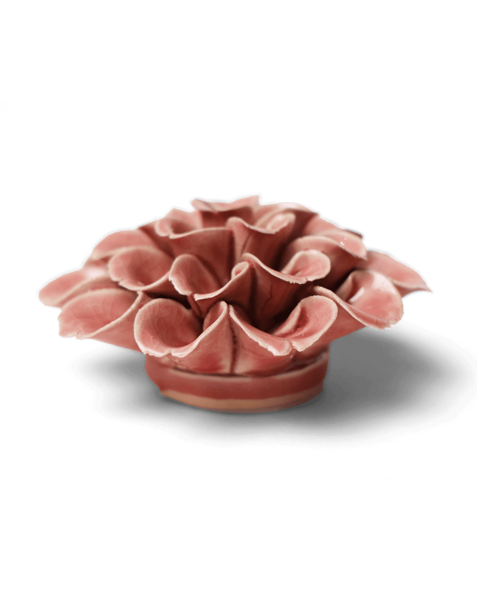 EG36 Champagne Pink Hydrangea - Chive US Wholesale