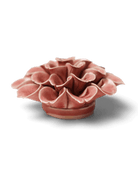 EG36 Champagne Pink Hydrangea - Chive US Wholesale