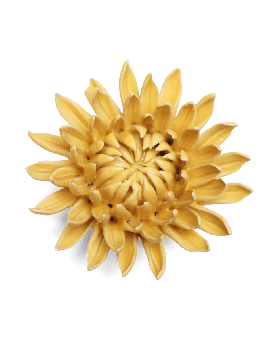 EG38 Canary Yellow Sarah Mum - Chive US Wholesale