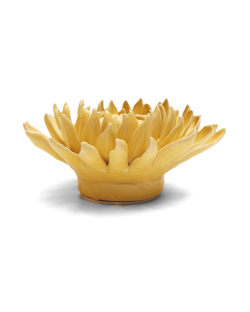 EG38 Canary Yellow Sarah Mum - Chive US Wholesale