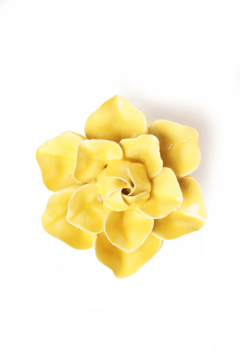 March Birth Flower - Daffodil - Chive US Wholesale