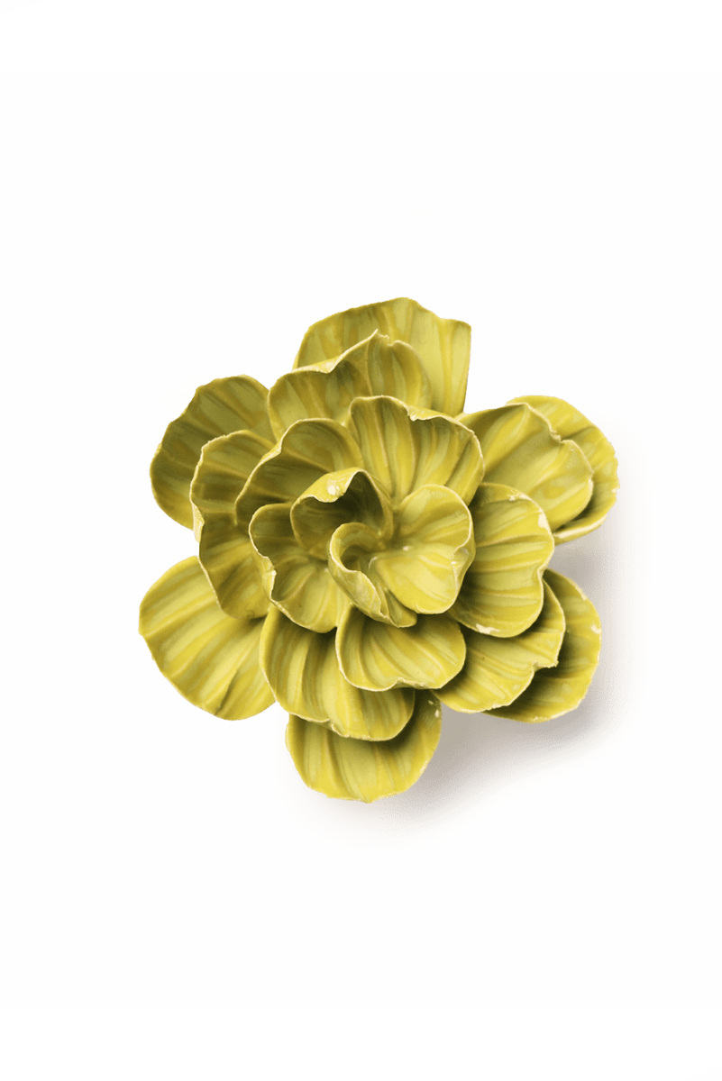 February Birth Flower - Primrose - Chive US Wholesale
