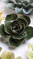 EG03 Fir Green Butterfly Ranunculus - Chive US Wholesale