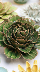 EG05 Avocado Green Rozella Peony - Chive US Wholesale