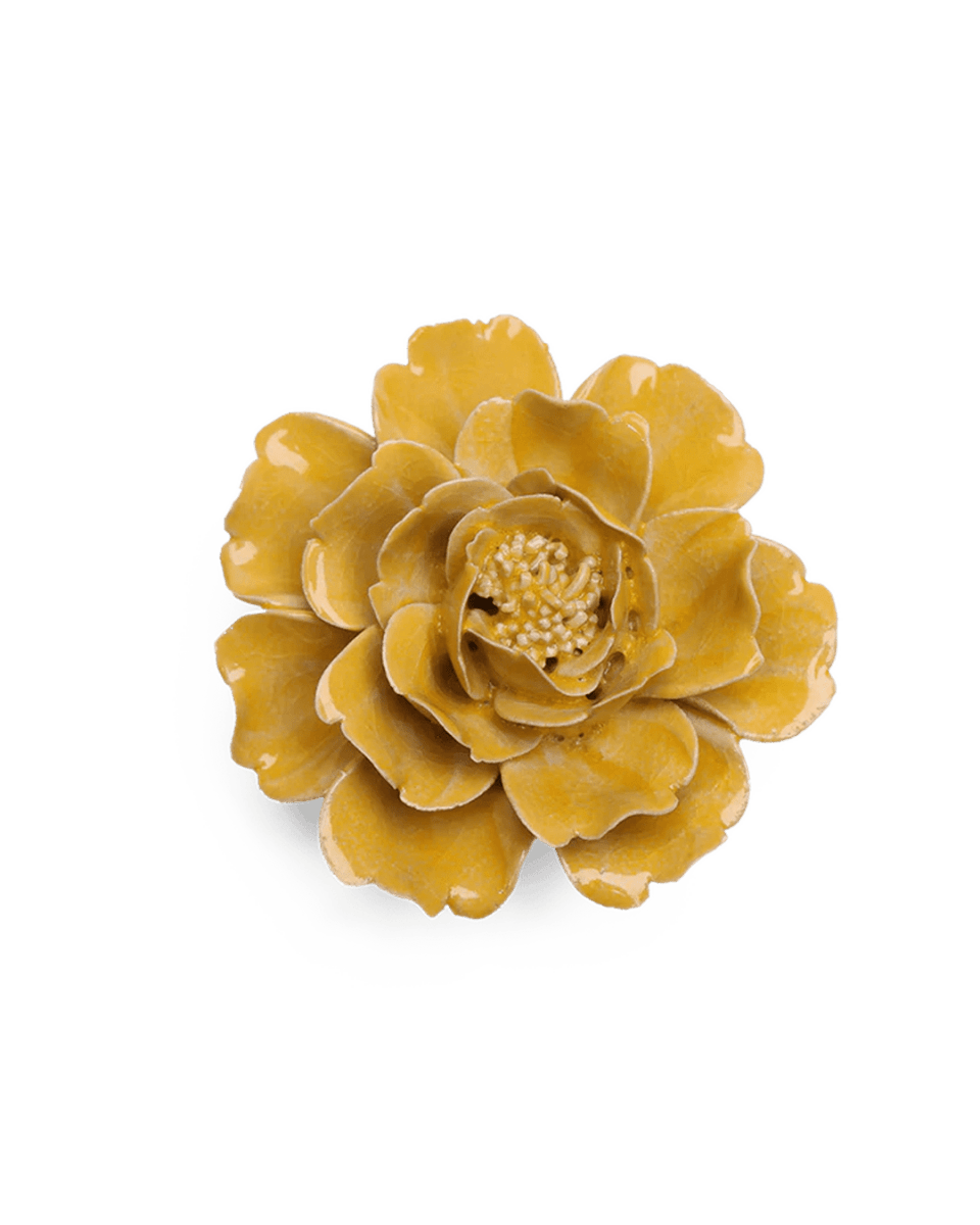 June Birth Flower - Rose - Chive US Wholesale