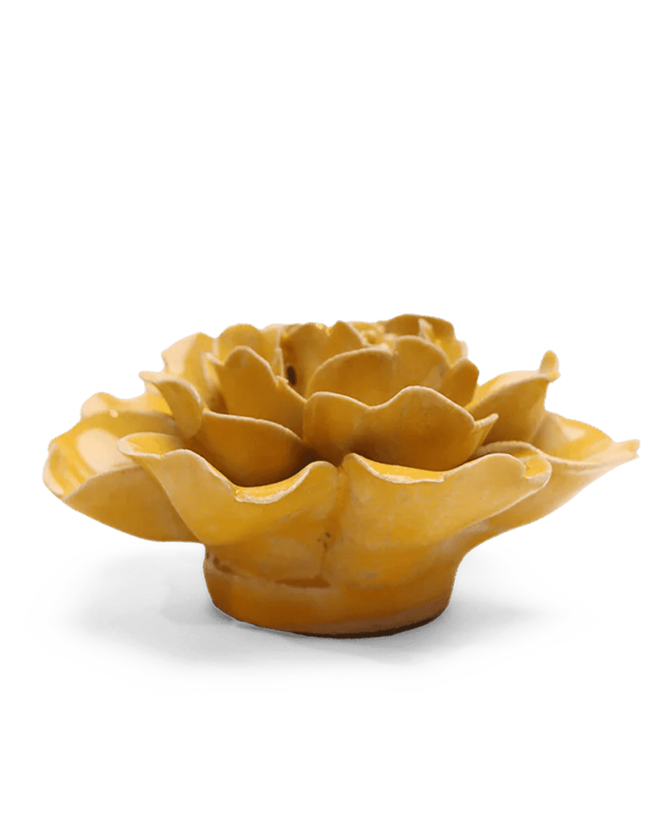 June Birth Flower - Rose - Chive US Wholesale