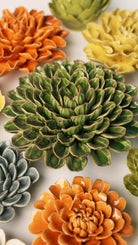 EG20 Avocado Green Unicorn Zinnia - Chive US Wholesale