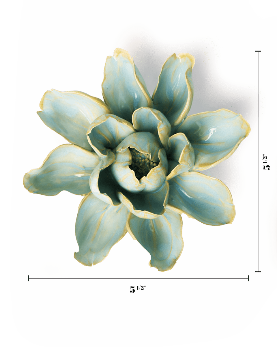 EG24 Robin's Egg Blue Aurora Water Lily - Chive US Wholesale