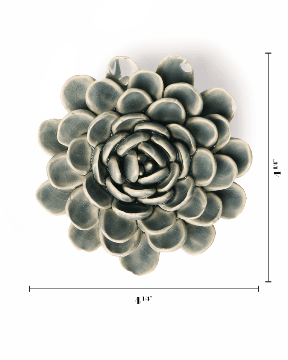 EG29 Pewter Blue Zinderella Zinnia - Chive US Wholesale