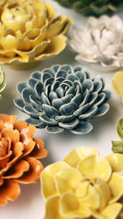 EG29 Pewter Blue Zinderella Zinnia - Chive US Wholesale