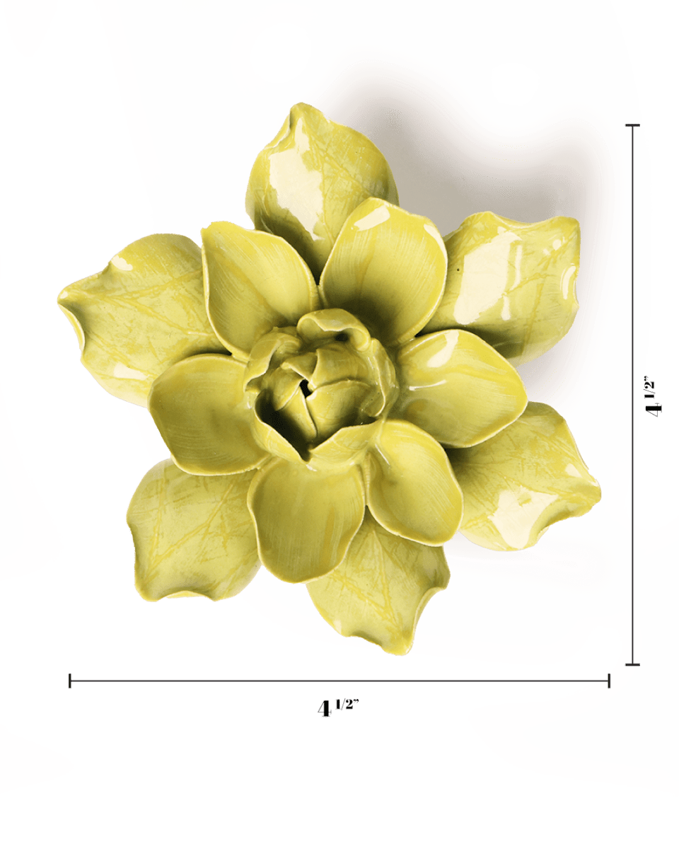 EG32 Chartreuse Columbine - Chive US Wholesale