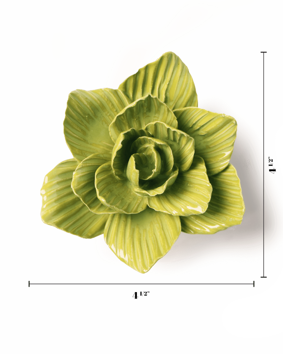 EG33 Chartreuse Gladiolus - Chive US Wholesale