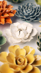 EG34 Ivory Daffodil - Chive US Wholesale