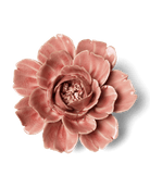 EG37 Champagne Pink Rose - Chive US Wholesale