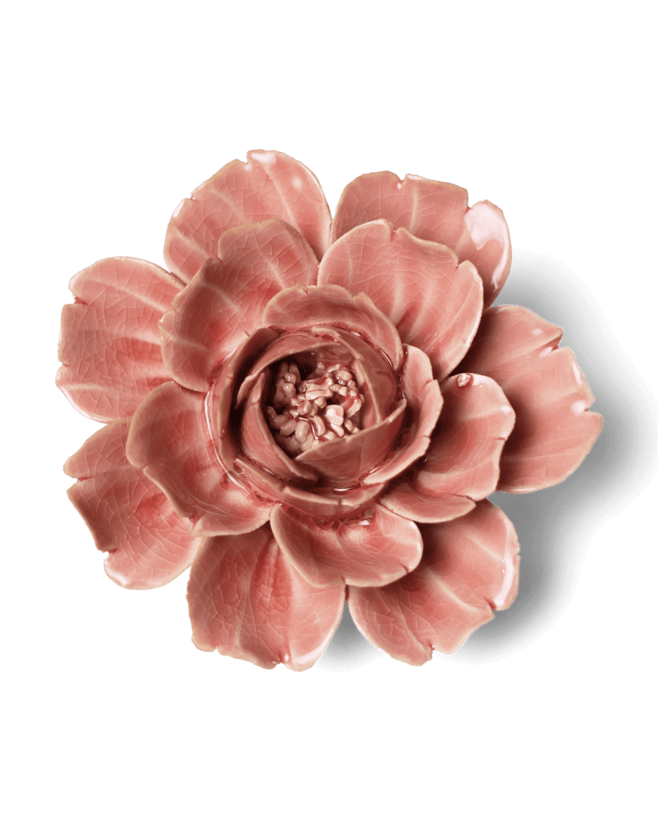 EG37 Champagne Pink Rose - Chive US Wholesale