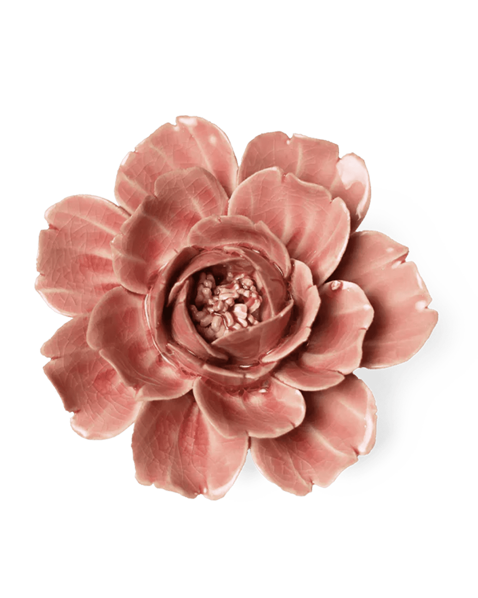 EG37 Champagne Pink Rose - Chive US Wholesale