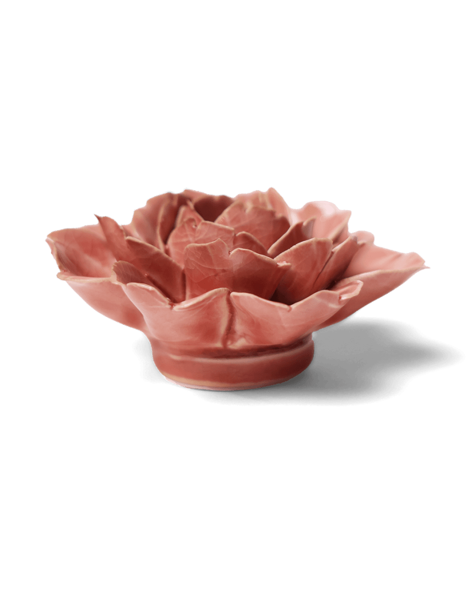 EG37 Champagne Pink Rose - Chive US Wholesale