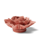 EG37 Champagne Pink Rose - Chive US Wholesale