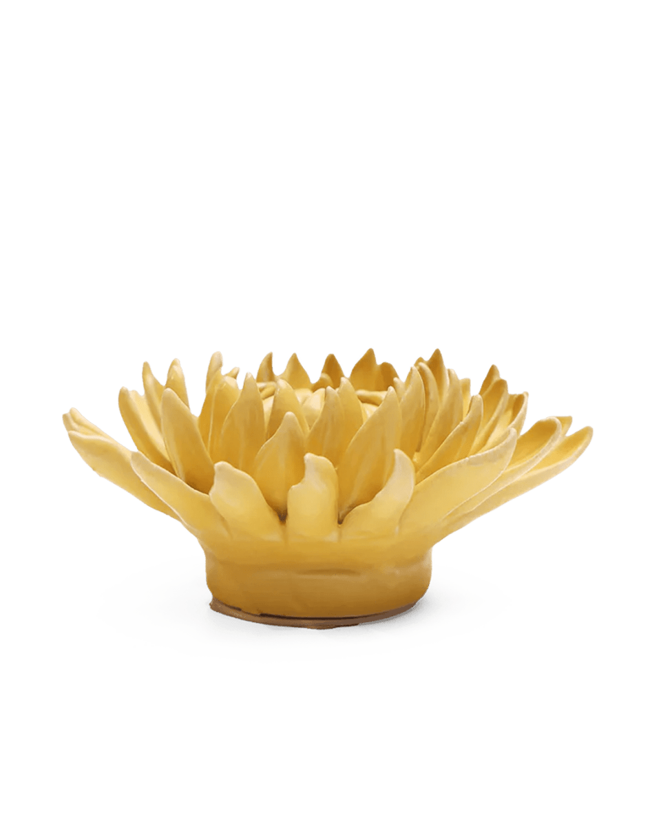 November Birth Flower - Chrysanthemum - Chive US Wholesale