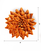 EG40 Orange Autumn Azalea - Chive US Wholesale