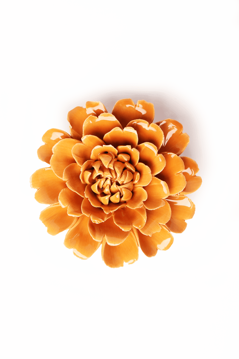 October Birth Flower - Marigold - Chive US Wholesale