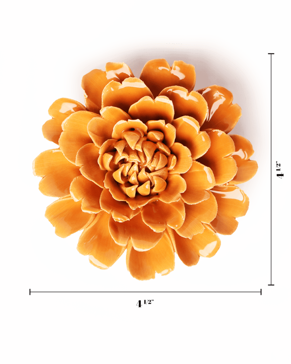 October Birth Flower - Marigold - Chive US Wholesale