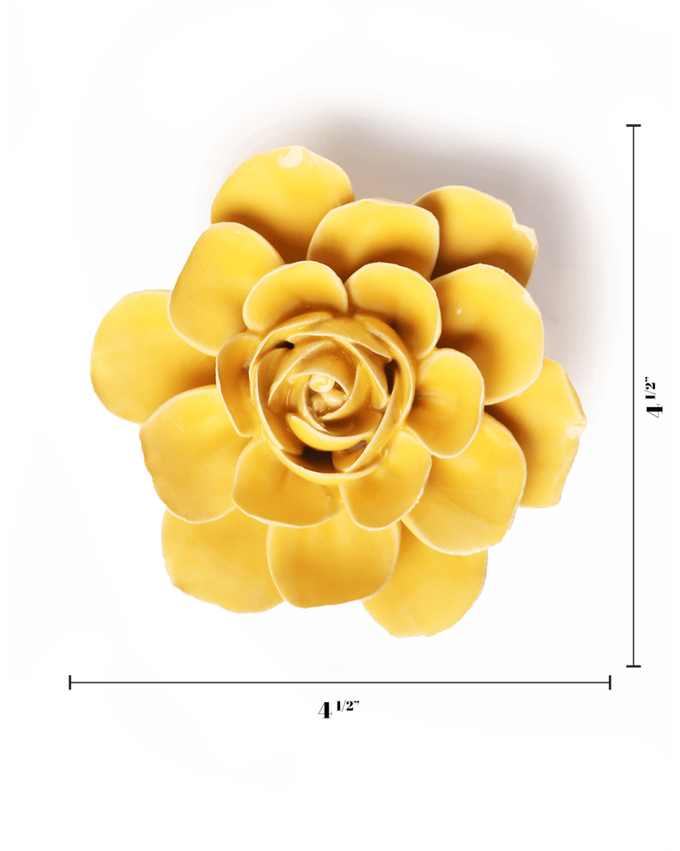 EG47 Burnt Yellow Begonia - Chive US Wholesale