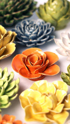 EG49 Orange Elegance Ranunculus - Chive US Wholesale