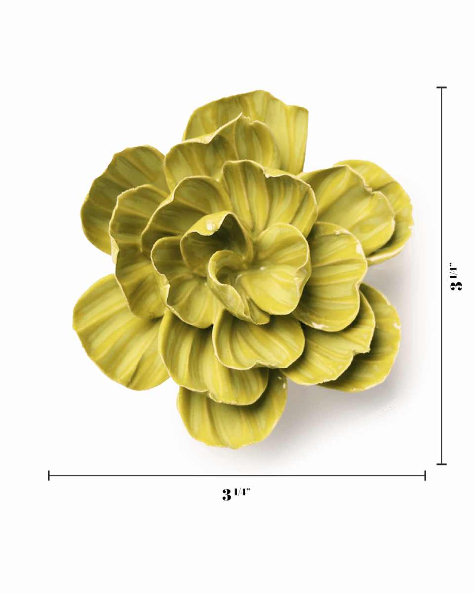 EG50 Chartreuse Primrose - Chive US Wholesale