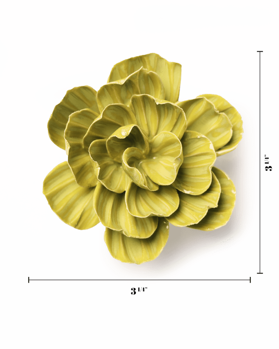 February Birth Flower - Primrose - Chive US Wholesale