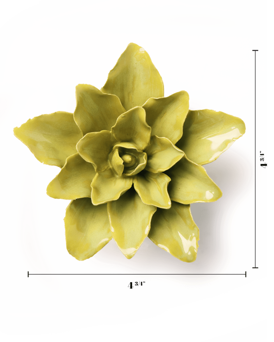 EG51 Chartreuse Tiger Lily - Chive US Wholesale