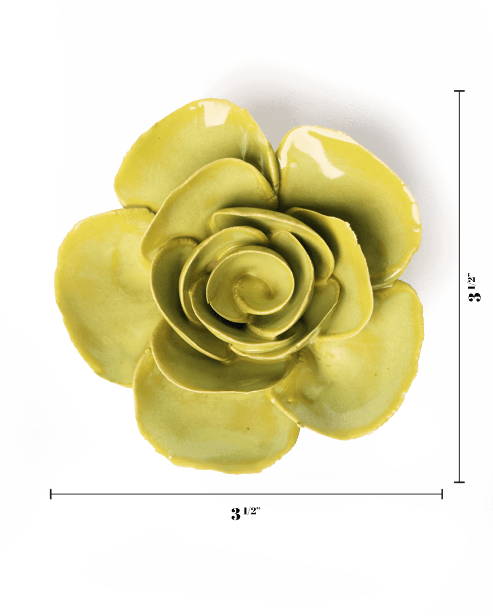 EG54 Chartreuse Elegance Ranunculus - Chive US Wholesale