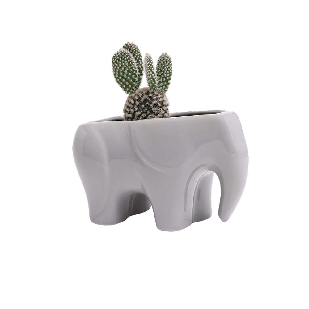 Elephant Ceramic Indoor Plant Pot For Succulents - Chive US Wholesale