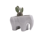 Elephant Ceramic Indoor Plant Pot For Succulents - Chive US Wholesale