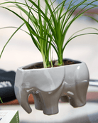 Elephant Ceramic Indoor Plant Pot Kit - Chive US Wholesale