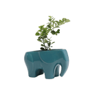 Elephant Ceramic Indoor Plant Pot For Succulents - Chive US Wholesale