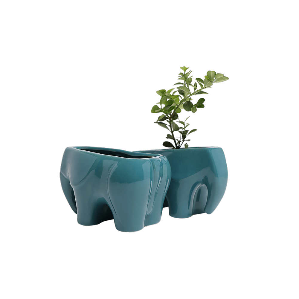 Elephant Ceramic Indoor Plant Pot For Succulents - Chive US Wholesale